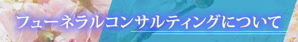 t[lRTeBOɂ